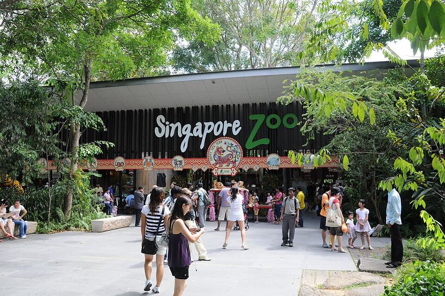 Singapore Zoo and Night Safari